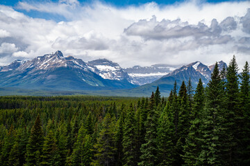 Obraz premium Snow-capped mountains rise above dense evergreen forest beneath dramatic summer clouds in the Canadian Rockies, Alberta, Canada.