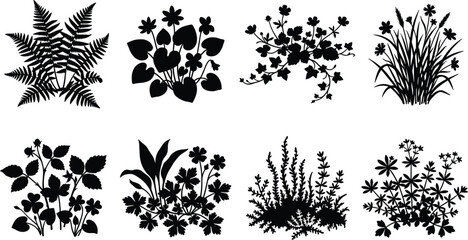 Fototapeta premium Botanical Plant Silhouette Collection Set with Fern Wildflowers Grass and Garden Foliage Vector