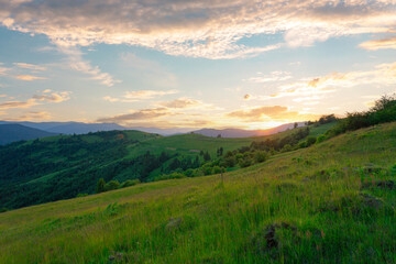 Obraz premium A beautiful wild grass mountain hill against a sunset sky with clouds. Carpathian mountains. Ukraine.