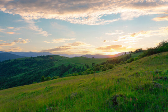 A beautiful wild grass mountain hill against a sunset sky with clouds. Carpathian mountains. Ukraine.