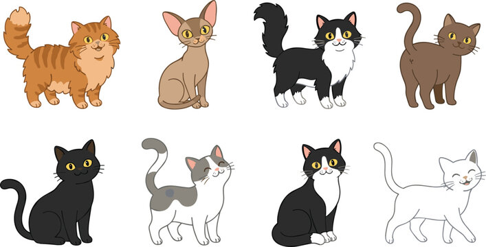 Cute Cat Breeds Cartoon Illustration Set Featuring Fluffy Tabby Siamese Sphynx Tuxedo and Calico Kittens in Various Playful and Friendly Poses