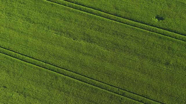  Aerial view on the fields and road. Landscape from drone. Agricultural landscape from air.