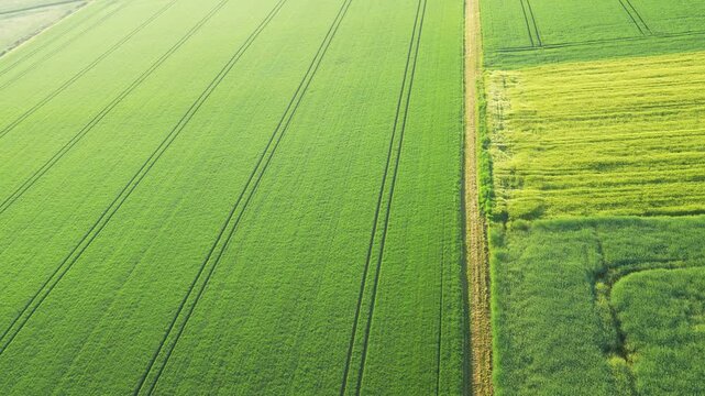  Aerial view on the fields and road. Landscape from drone. Agricultural landscape from air.