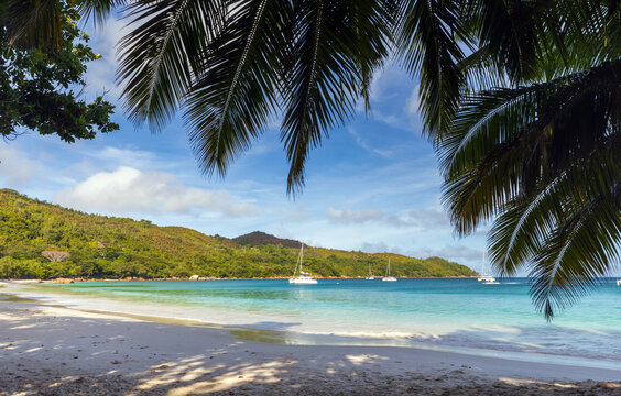 Tropical beach with palm trees, white sand, turquoise sea and anchored sailboats near a rocky shoreline. A tranquil summer vacation scene suggesting relaxation, escape and coastal serenity