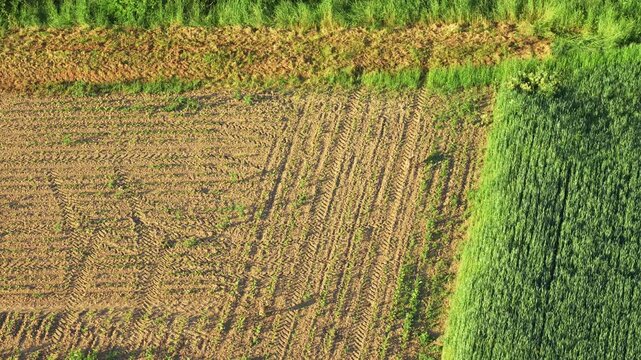  Aerial view on the fields and road. Landscape from drone. Agricultural landscape from air.