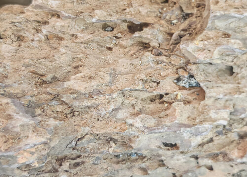 Natural layered stone surface showing mineral textures, weathered rock patterns, and geological formations for geology, architecture materials, and natural background concepts.