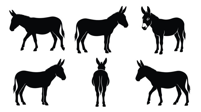 Black vector illustration set featuring six different poses of a donkey in various walking positions