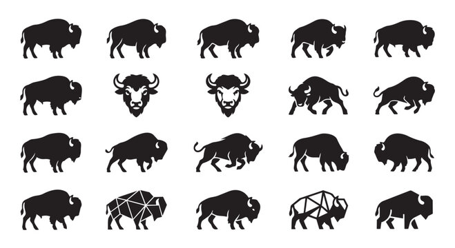 Collection of american bison and buffalo silhouettes in various poses with silhouette wildlife isolated