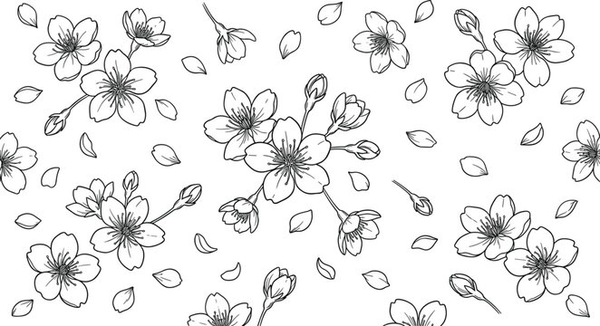 Cherry blossom seamless pattern border vector line art illustration of falling sakura flowers and petals for spring background designs..eps