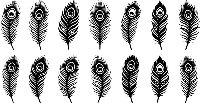 Peacock, feather, silhouette, set, vector, icon, design, element, bird, plumage, decorative, exotic, nature, wildlife, collection, black, isolated, pattern, illustration, graphic.
