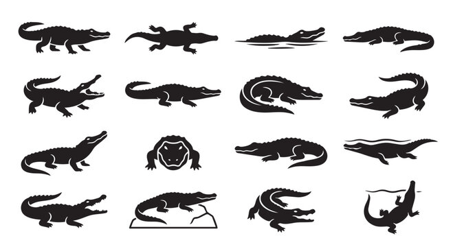 Set of diverse alligator and crocodile silhouette illustrations for graphic design with alligator, crocodile