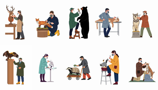 Set of flat illustrations featuring taxidermists working on various animals like bears, foxes, and birds while wearing protective masks and using tools.