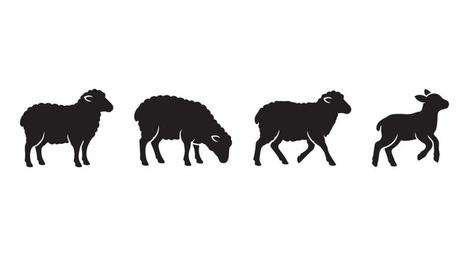 Set of black silhouette illustrations showing sheep in different postures with silhouette livestock standing