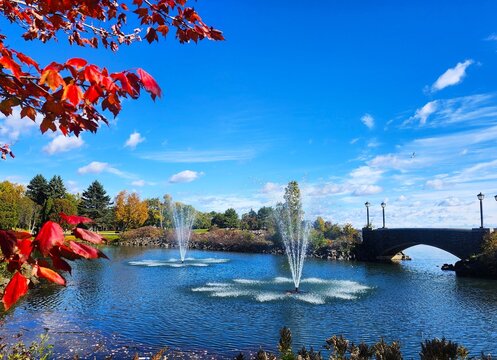 autumn in the park