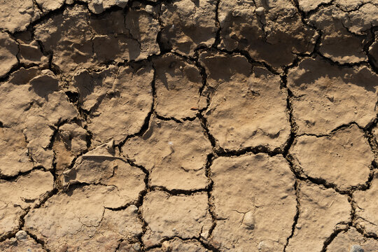 Detailed Texture of Dry Cracked Earth Soil in Arid Landscape