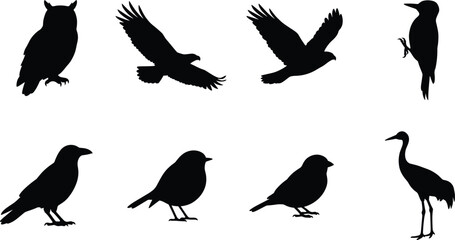 Fototapeta premium Bird Silhouette Collection Featuring Owl Eagle Crow Songbird Woodpecker and Crane Vector Set
