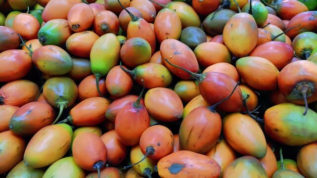 Tree Tomatoes (Solanum betaceum) Displayed at a Fresh Produce Market, 4K 60fps
