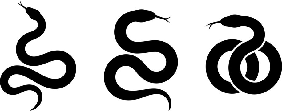Three black snake silhouettes in different poses on white background