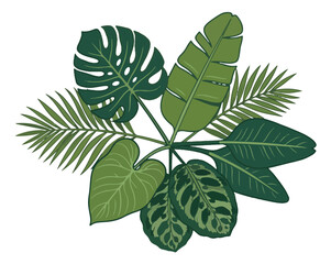 Tropical leaf bouquet with monstera and palm fronds, exotic jungle foliage vector illustration, green botanical plant elements for summer design © Rehman
