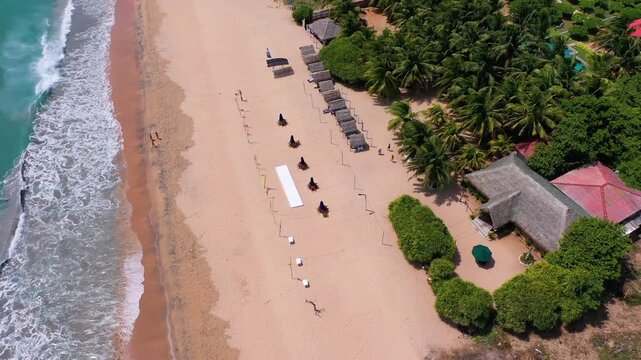 Aerial view of tropical beach with palm trees and turquoise ocean, Sri Lanka