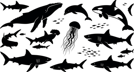 Marine Life Silhouette Set Featuring Whales Sharks Dolphin Orca and Jellyfish for Ocean Wildlife Conservation Aquarium Branding and Undersea Graphic Designs © Rifat