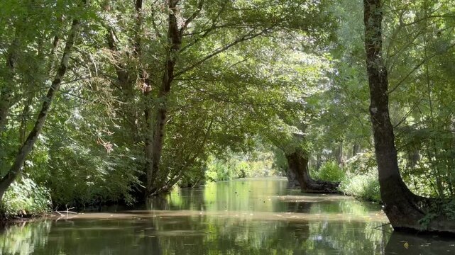 Marais Poitevin au bord des arbres vid&eacute;o 4K