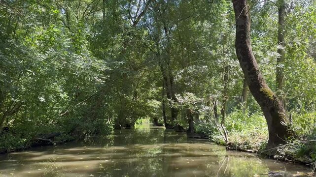 Marais Poitevin en barque sans moteur vid&eacute;o 4K