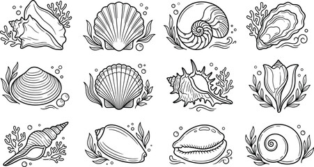 Sea shells elements collection with marine seaweed and coral reef hand drawn line art vector illustration set © MdAshik