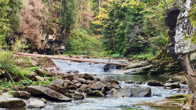 Mountain river with forested banks in autumn overcast day
