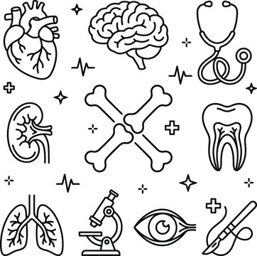 Medical and Healthcare Line Icon Set featuring Human Anatomy Organs Brain Heart Lungs Bones Tooth Microscope and Stethoscope Vectors