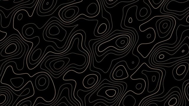 Animated abstract black and white topographic map lines