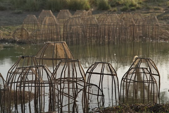 East Africa, Chad. View of countless fish traps made of thin tree branches along the shores of a small lake.