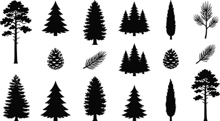 Pine tree silhouette collection featuring conifer woods spruce branches and pinecones for winter forest designs. © MdAshik