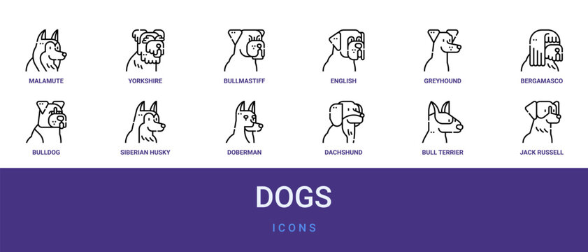 Set of 12 outline web Dogs icons such as jack russell terrier, bull terrier, dachshund, Doberman, siberian husky, bulldog, bergamasco vector icons for report, presentation, diagram, web design,