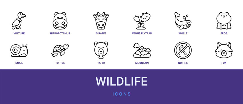 Set of 12 outline web Wildlife icons such as fox, no fire, mountain, tapir, turtle, snail, frog vector icons for report, presentation, diagram, web design, mobile app