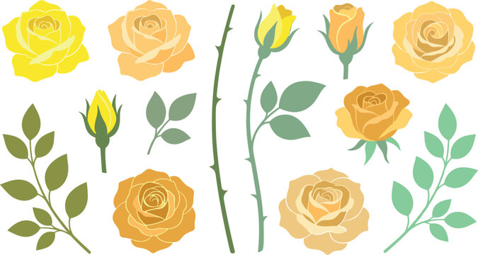 Vector illustration set of yellow roses and botanical elements featuring blooming flower heads, buds, thorny stems, and green leaves for romantic designs.