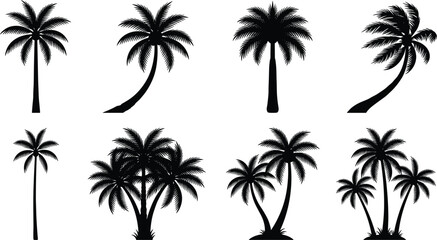 Fototapeta premium Set of diverse tropical palm tree silhouettes, collection of exotic foliage for landscape and design