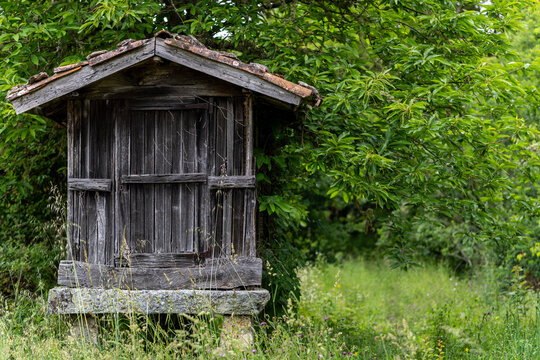 Traditional wooden horreo granary surrounded by lush green forest in Galicia, Spain.