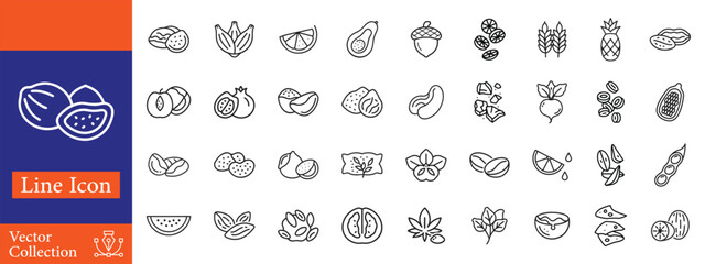 Nuts and seeds related line icons set. Pack outline pictograms of cacao pod, cashew, walnut, acorn, hazelnut, peanut, coffee beans and other. Editable stroke © Sheikh Art