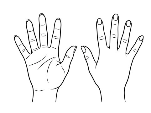 Illustration of human hands with six fingers on each hand isolated on transparent background