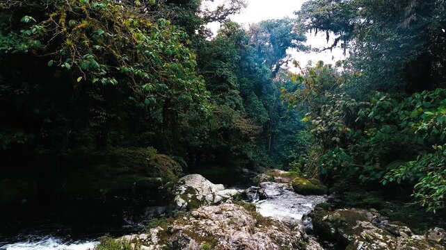 Tropical Rainforest River in Ecuador with Boulder Stream, Dense Green Forest, Clear Water and Remote Andean Amazon Wilderness Landscape