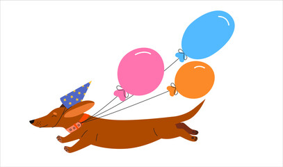 Fototapeta premium Dachshund Dog with Colorful Balloons Celebrating Birthday Party