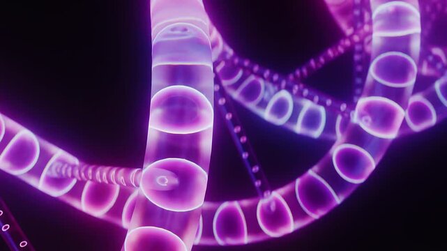 Close up of glowing purple dna double helix rotating against dark background. 3D Loop animation CGI