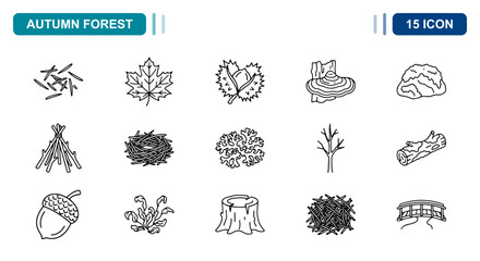 15 Autumn forest linear icon set maple leaf, chestnut, acorn, tree stump, UI and web interface design © Iconbyart1