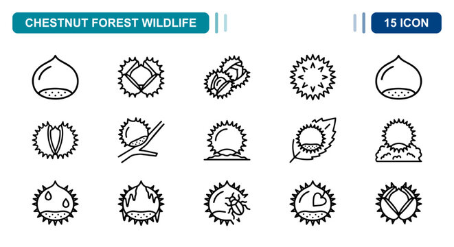 15 Chestnut forest wildlife linear icon set nut, shell, leaf, branch, UI and web interface design