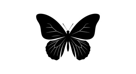 Minimalist butterfly silhouette vector, black butterfly icon with detailed wing veins, elegant insect graphic for logo design and nature branding © MST. ASIA KHATUN