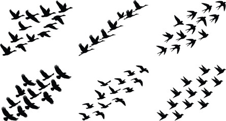 Flock of flying birds silhouette vector illustration set featuring seasonal migration patterns ducks geese pigeons and swallows © MST