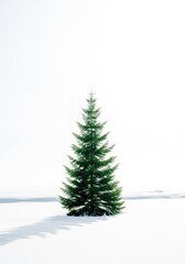 Fototapeta premium A sleek minimalist evergreen tree stands alone in a vast snowy field. The scene features a clean white background with soft winter light, festive, woods, silence