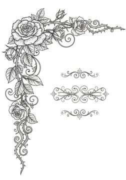 Elegant ornamental rose border in black and white featuring intricate floral sketches and decorative swirls for invitations and stationery, outline, swirl, invitation