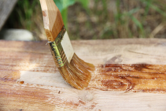 Paintbrush spreading protective wood stain across a natural wooden plank. Close-up of outdoor woodworking, DIY maintenance, timber treatment and wood finishing process.